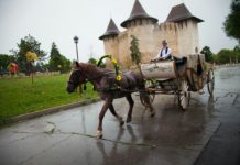 Trăsură pentru miri și nu doar…