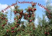 Festivalul Național al Mărului