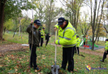 Polițiștii de patrulare au sădit copaci de Ziua Înverzirii Plaiului
