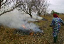 Ecologiștii efectuează controale și aplică amenzi pentru arderea frunzelor!