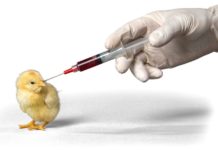 Săptămâna mondială de conștientizare a rezistenței la antibiotice