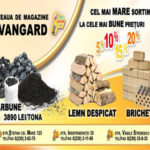 Avangard1
