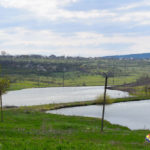 Iazuri ale satului