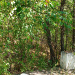 IMG-5c45e4f5e07d20e858add942399a1d52-V