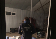 Peste 12 tone de alcool etilic au fost confiscate în zona de frontieră