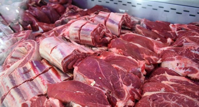 Carne (1)