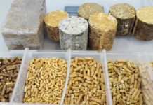 Un grup de investitori străini vor să transforme deșeurile din Republica Moldova în brichete de combustibil