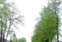 O veste îmbucurătoare pentru ocnițeni!