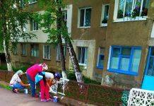 Frumosul e și în lucruri mărunte…
