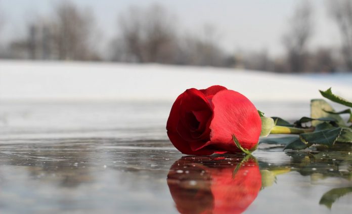 Cum-sa-aduci-iubire-in-viata-ta-sfatulparintilor.ro-pixabay-com-red-rose-on-ice-3189026_1920-1400x850