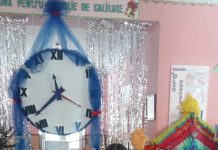 Leac pentru pisici sau bluzița cu găurele