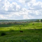 La Vădeni cultura e la ea acasă