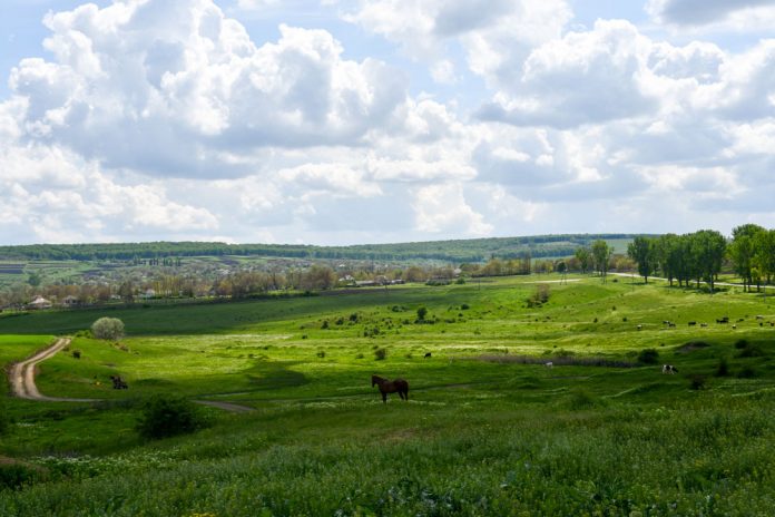 DSC_0637-2