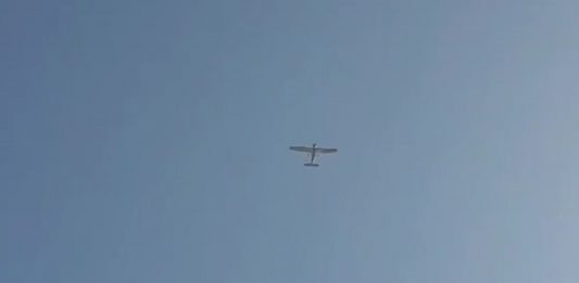 PANICĂ LA DROCHIA