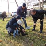 Angajații DSE Soroca au participat la Ziua Națională de Înverzire a Plaiului