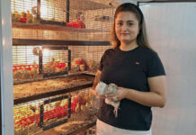 O TÂNĂRĂ DIN RUBLENIȚA, A PUS PE ROATE O AFACERE CU PREPELIȚE