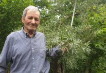 GRĂDINA BOTANICĂ DIN CURTEA CASEI. Video