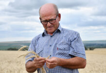 Ion Clima: „Roada-i bună, prețu-i rău”