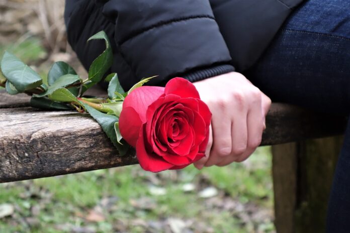 girl-with-red-rose-3006444_1280
