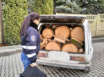 Stopat de autorități în timp ce transporta lemn fără acte