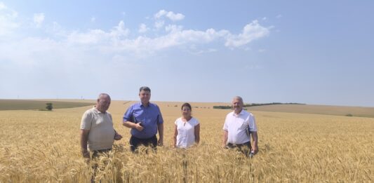 Recoltarea orzului a început promițător în gospodăria „SorAgroVis”