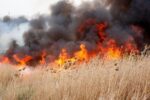 Florești: Incendiu pe un lan agricol cu orz