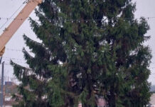 LA SOROCA A FOST INSTALAT BRADUL