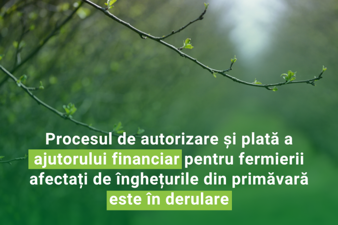 Înghețuri_Post (1)