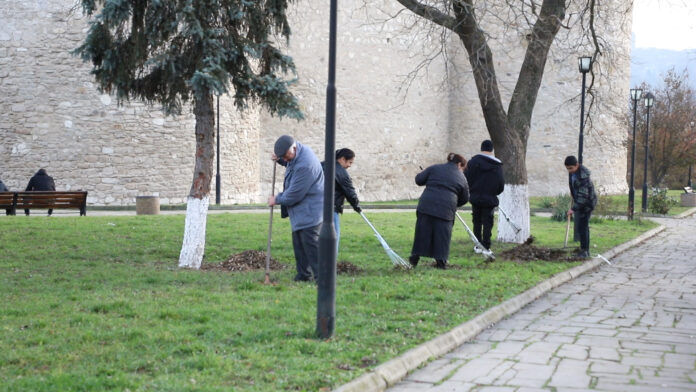 MVI_2813.00_00_20_05.Still002