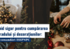 Ghid sigur pentru cumpărarea bradului și decorațiunilor, recomandări ISSPNPC