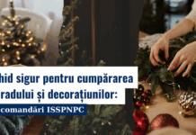 Ghid sigur pentru cumpărarea bradului și decorațiunilor, recomandări ISSPNPC