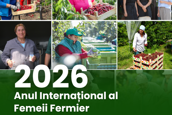 AIFF_2026