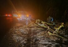 Pe parcursul nopții, drumarii au intervenit pe traseele din raionul Soroca