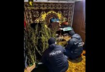 Percheziții matinale în raionul Florești. Substanțe suspecte și arme ridicate de polițiști