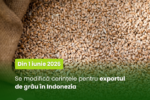Din 1 iunie 2026, se modifică cerințele pentru exportul de grâu în Indonezia