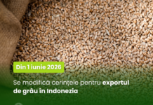 Din 1 iunie 2026, se modifică cerințele pentru exportul de grâu în Indonezia