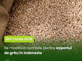 Din 1 iunie 2026, se modifică cerințele pentru exportul de grâu în Indonezia