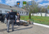 Al 18-lea membru al unei rețele de migrație ilegală, reținut la Briceni