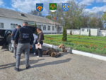 Al 18-lea membru al unei rețele de migrație ilegală, reținut la Briceni