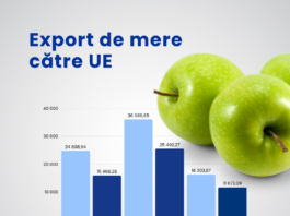 Produsele horticole moldovenești pe piața UE: evoluții în comerțul cu fructe