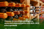 Sectorul vitivinicol al Republicii Moldova are o Viziune de dezvoltare pentru anii 2026–2030