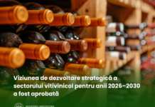 Sectorul vitivinicol al Republicii Moldova are o Viziune de dezvoltare pentru anii 2026–2030
