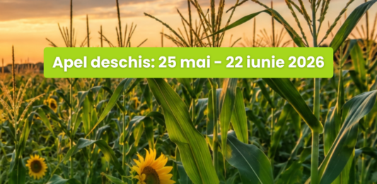 Fermierii afectați de seceta și arșița din 2025 pot depune la AIPA cereri pentru ajutorul financiar de 50 de milioane de lei alocat de Guvern