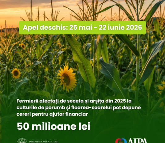 Fermierii afectați de seceta și arșița din 2025 pot depune la AIPA cereri pentru ajutorul financiar de 50 de milioane de lei alocat de Guvern