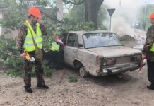 Situații de urgență simulate la Dubna. Formațiunile de Protecție Civilă și-au demonstrat capacitatea de intervenție