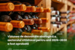 Sectorul vitivinicol al Republicii Moldova are o Viziune de dezvoltare pentru anii 2026–2030