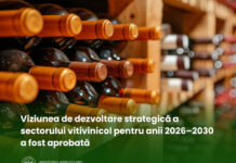 Sectorul vitivinicol al Republicii Moldova are o Viziune de dezvoltare pentru anii 2026–2030