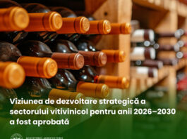 Sectorul vitivinicol al Republicii Moldova are o Viziune de dezvoltare pentru anii 2026–2030