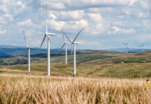 Parlamentul a adoptat facilități fiscale pentru importul turbinelor eoliene și al echipamentelor de stocare a energiei