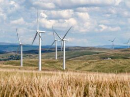 Parlamentul a adoptat facilități fiscale pentru importul turbinelor eoliene și al echipamentelor de stocare a energiei